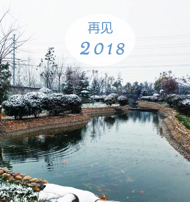 再見(jiàn)2018